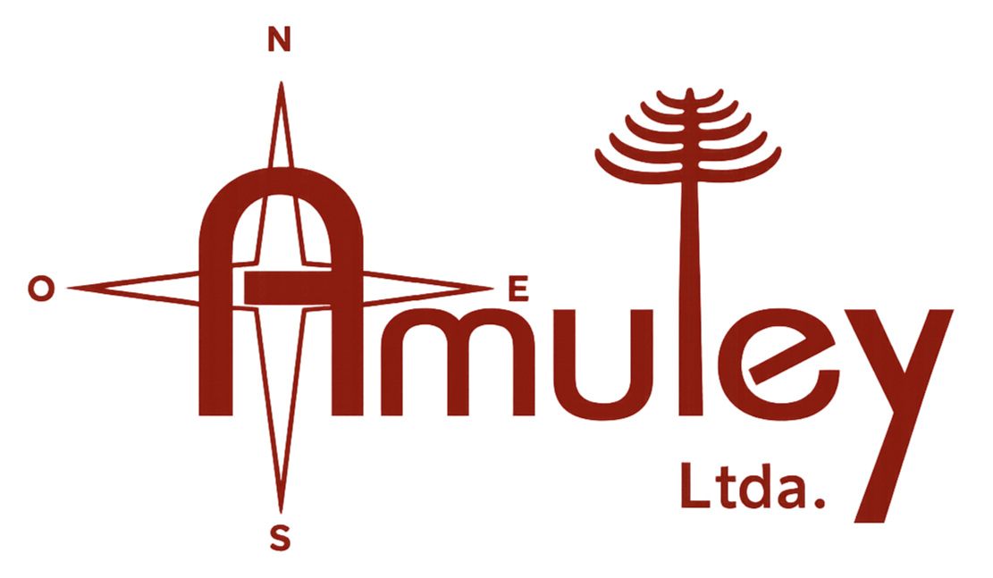 Logo AMULEY
